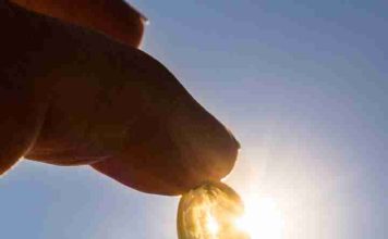 Vitamina D: la aliada silenciosa para la salud ósea, muscular e inmune Vitamina D: la aliada silenciosa para la salud ósea, muscular e inmune