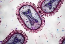 Médicos de América Latina publican Consenso sobre el Uso de Pruebas Rápidas para Mejorar Diagnóstico y Tratamiento de Infecciones Respiratorias Agudas Médicos de América Latina publican Consenso sobre el Uso de Pruebas Rápidas para Mejorar Diagnóstico y Tratamiento de Infecciones Respiratorias Agudas