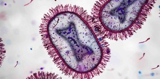 Médicos de América Latina publican Consenso sobre el Uso de Pruebas Rápidas para Mejorar Diagnóstico y Tratamiento de Infecciones Respiratorias Agudas