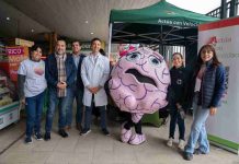 Cierre del Mes del Cerebro reunió a cientos de personas en La Vega para concientizar sobre el ACV Cierre del Mes del Cerebro reunió a cientos de personas en La Vega para concientizar sobre el ACV