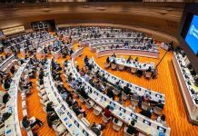 Ministra de Salud, Ximena Aguilera, aborda medidas financieras de la OMS en la 78° Asamblea Mundial de la Salud