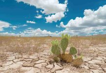 Ocho de cada diez chilenos creen que el cambio climático tiene un impacto en la salud de las personas Ocho de cada diez chilenos creen que el cambio climático tiene un impacto en la salud de las personas
