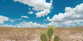 Ocho de cada diez chilenos creen que el cambio climático tiene un impacto en la salud de las personas 