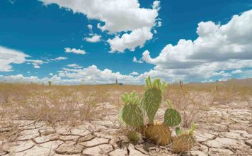 Ocho de cada diez chilenos creen que el cambio climático tiene un impacto en la salud de las personas Ocho de cada diez chilenos creen que el cambio climático tiene un impacto en la salud de las personas