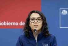 Campaña de Invierno 2025: VRS continúa al alza y alcanza un 15,8% del total de los virus detectados Campaña de Invierno 2025: VRS continúa al alza y alcanza un 15,8% del total de los virus detectados
