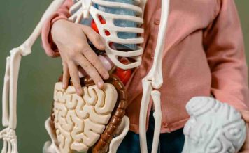 Cáncer de estómago: una amenaza silenciosa que se puede prevenir