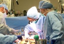 Estudio revela beneficios para la salud a largo plazo de la cirugía bariátrica y el trasplante de hígado Estudio revela beneficios para la salud a largo plazo de la cirugía bariátrica y el trasplante de hígado