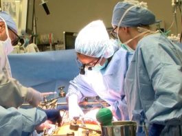 Estudio revela beneficios para la salud a largo plazo de la cirugía bariátrica y el trasplante de hígado