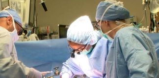 Estudio revela beneficios para la salud a largo plazo de la cirugía bariátrica y el trasplante de hígado