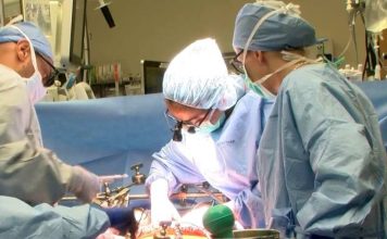 Estudio revela beneficios para la salud a largo plazo de la cirugía bariátrica y el trasplante de hígado