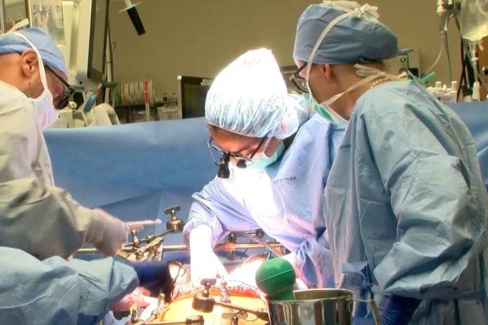 Estudio revela beneficios para la salud a largo plazo de la cirugía bariátrica y el trasplante de hígado Estudio revela beneficios para la salud a largo plazo de la cirugía bariátrica y el trasplante de hígado