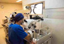 FIV Santiago, el nuevo centro de tratamiento de infertilidad para pacientes Fonasa FIV Santiago, el nuevo centro de tratamiento de infertilidad para pacientes Fonasa