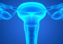 Investigadores de Mayo Clinic identifican los primeros signos de riesgo de cáncer de ovario Investigadores de Mayo Clinic identifican los primeros signos de riesgo de cáncer de ovario