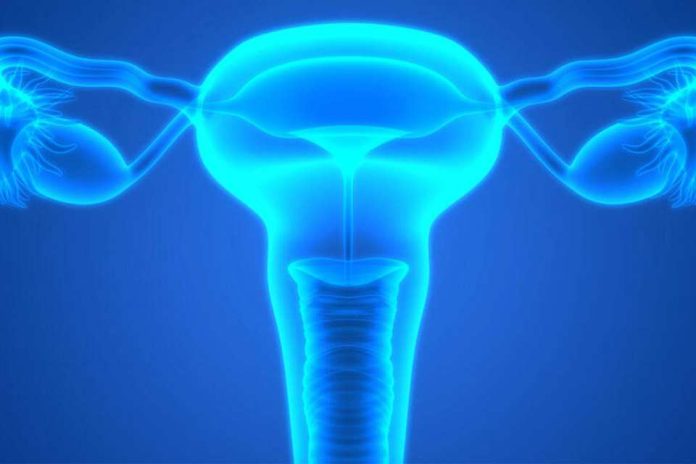 Investigadores de Mayo Clinic identifican los primeros signos de riesgo de cáncer de ovario