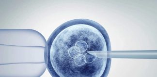 Ovodonación una alternativa ante baja natalidad y escasez de donantes