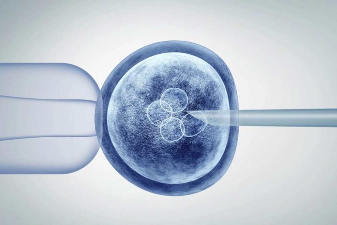 Ovodonación una alternativa ante baja natalidad y escasez de donantes Ovodonación una alternativa ante baja natalidad y escasez de donantes