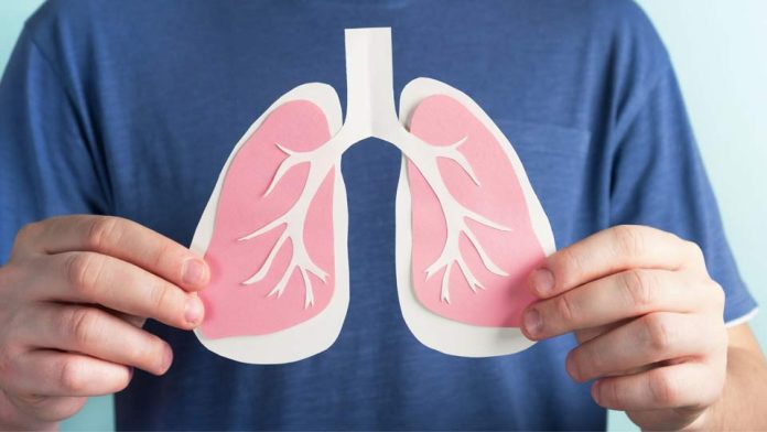 Purificar el aire en casa: una medida clave para prevenir enfermedades respiratorias este invierno Purificar el aire en casa: una medida clave para prevenir enfermedades respiratorias este invierno