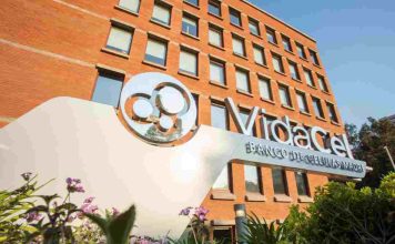 VidaCel: dos décadas liderando la criopreservación de células madre en Chile VidaCel: dos décadas liderando la criopreservación de células madre en Chile