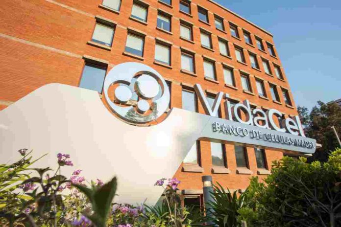 _ VidaCel dos décadas liderando la criopreservación de células madre en Chile VidaCel: dos décadas liderando la criopreservación de células madre en Chile