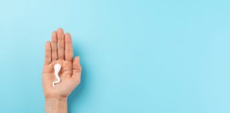 Aceite de chía y ubiquinol: alianza natural para potenciar la fertilidad masculina