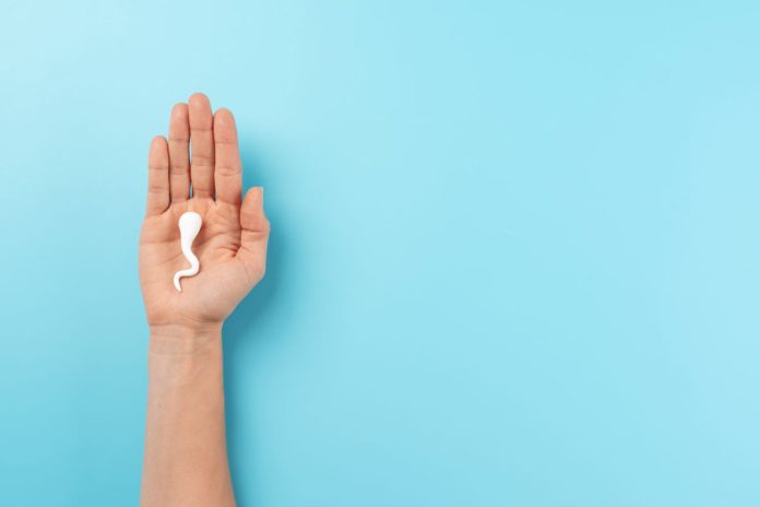 Aceite de chía y ubiquinol: alianza natural para potenciar la fertilidad masculina