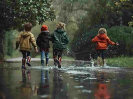 Expertos en nutrición destacan la importancia de la microbiota para tener una buena salud