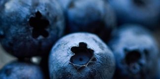 7 usos medicinales de los arándanos