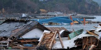 A 20 años del falso tsunami pasamos del pánico masivo a la pasividad
