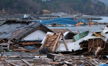 A 20 años del falso tsunami pasamos del pánico masivo a la pasividad