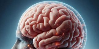 PositronMed impulsa el diagnóstico molecular para combatir las enfermedades neurodegenerativas