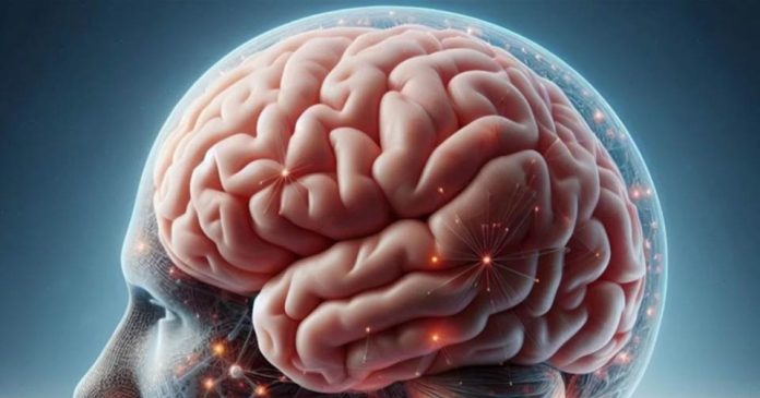 CEREBRO diagnóstico molecular para combatir las enfermedades neurodegenerativas PositronMed impulsa el diagnóstico molecular para combatir las enfermedades neurodegenerativas