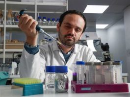 El hallazgo chileno que podría cambiar la forma de tratar enfermedades como el cáncer El hallazgo chileno que podría cambiar la forma de tratar enfermedades como el cáncer