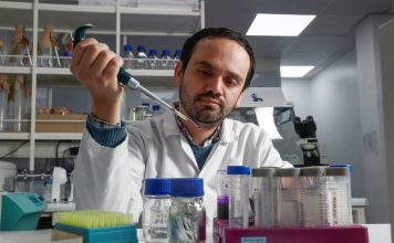 El hallazgo chileno que podría cambiar la forma de tratar enfermedades como el cáncer El hallazgo chileno que podría cambiar la forma de tratar enfermedades como el cáncer