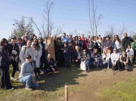 Eurofarma Chile impulsa reforestación en el Jardín Botánico de Viña del Mar Eurofarma Chile impulsa reforestación en el Jardín Botánico de Viña del Mar