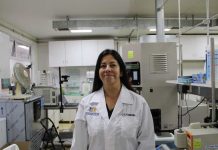 Investigadora USM desarrolla alimento para la tercera edad que reduciría riesgos de enfermedades oculares y articulares Investigadora USM desarrolla alimento para la tercera edad que reduciría riesgos de enfermedades oculares y articulares