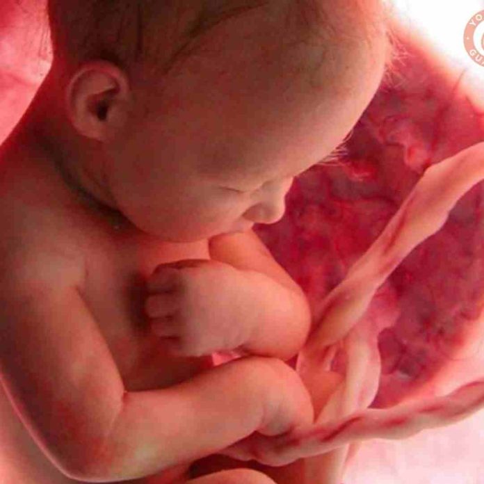 Julio Mes de la concientización sobre la sangre del cordón umbilical  Julio: Mes de la concientización sobre la sangre del cordón umbilical
