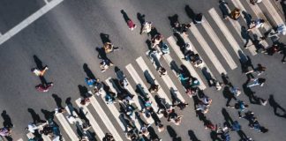 Más del 50% de los trabajadores chilenos realiza tareas con alto riesgo de automatización Chile lidera brecha salarial según habilidades cognitivas en la OCDE