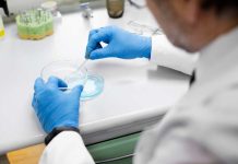 Microbioma: ¿Qué es y cuál es su importancia en nuestra salud? Microbioma: ¿Qué es y cuál es su importancia en nuestra salud?