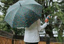 Microbiota en acción: cómo fortalecer las defensas en invierno desde el aparato digestivo