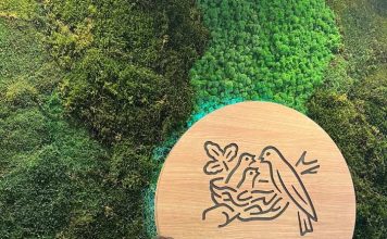 Microbiota intestinal: una aliada silenciosa para la salud pública Microbiota intestinal: una aliada silenciosa para la salud pública