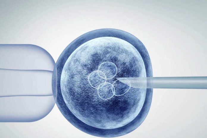 Ovodonación una alternativa ante baja natalidad y escasez de donantes (1)