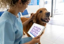 Prevención de las zoonosis: lo que debes saber para cuidar tu salud y la de los animales Prevención de las zoonosis: lo que debes saber para cuidar tu salud y la de los animales Más de la mitad de las enfermedades infecciosas en humanos son de origen zoonótico; por eso, se requiere de un manejo especializado y basado en conocimiento científico para su control. Santiago, Chile, julio 2025 – El vínculo entre humanos y animales resulta beneficioso para la vida, pero también conlleva ciertos riesgos que la ciencia ha debido manejar. Uno de ellos es la prevención de las zoonosis, que son aquellas enfermedades infecciosas que se transmiten entre animales y humanos, ya sea por contacto directo con animales infectados, a través de alimentos contaminados, o por vectores como mosquitos y garrapatas. Se calcula que, de los 1.415 patógenos humanos conocidos, el 61% son zoonóticos, según cifras de la Organización Panamericana de Salud, OPS (1). La prevención de las zoonosis ha sido un trabajo colaborativo de largo aliento. Uno de los logros más importantes es haber reducido drásticamente la incidencia de la rabia humana transmitida por perros. En efecto, si en 1983 se contabilizaban 300 casos en el continente americano, en 2020 se registraron solo 2, de acuerdo con la OPS (2). No obstante, hay otras zoonosis que preocupan, como por ejemplo la gripe aviar, y que requieren un manejo especializado y basado en conocimiento científico. Actualmente la prevención de la zoonosis es abordada a través de 3 focos principales: la aplicación del criterio de una sola salud, innovación en salud animal, y educación y apoyo a tutores y productores. “Desde Zoetis abordamos la prevención de las zoonosis bajo el prisma #OneHealth, es decir, una sola salud, entendiendo que la salud humana y la salud animal están estrechamente ligadas”, dice Mariana Cestau, gerente general de Zoetis. “Con esta mirada, brindamos soluciones diseñadas para ser efectivas y seguras, garantizando que los animales permanezcan sanos y, por ende, reduciendo el riesgo de transmisión a los humanos”, agrega. En tanto, la investigación y desarrollo de soluciones innovadoras, basadas en conocimiento científico actualizado, ha sido clave para enfrentar diferentes zoonosis. “Como líderes en salud animal, estamos constantemente explorando nuevas tecnologías y metodologías para mejorar la prevención, diagnóstico y tratamiento de enfermedades zoonóticas”, indica Mariana Cestau. Actualmente, Zoetis está utilizando herramientas de inteligencia artificial para manejar grandes cantidades de datos, incrementar la calidad de los datos, reducir esfuerzos de validación manual y mejorar la revisión de información por parte de personal clínico y científico. Así también, la educación y la concienciación son fundamentales para identificar los riesgos de zoonosis y tomar medidas preventivas. “Es importante contar con redes de apoyo que permitan el intercambio de conocimiento actualizado y el acceso a soluciones innovadoras. Por eso, colaboramos con veterinarios, productores y tutores de mascotas, mediante diferentes instancias, de manera de unirnos hacia un fin común, que es cuidarnos”, dice Mariana Cestau. El 6 de julio es el Día Mundial de las Zoonosis, en recuerdo de la exitosa aplicación de la primera vacuna antirrábica, creada en 1885 por el científico Louis Pasteur, y que logró salvar la vida de un niño de 9 años que había sido mordido por un perro infectado. Es una fecha que invita a tomar conciencia sobre las zoonosis y utilizar las herramientas disponibles para la prevención, con el apoyo de especialistas y líderes en la materia. Acerca de Zoetis Como empresa líder mundial en salud animal, Zoetis está impulsada por un propósito singular: nutrir nuestro mundo y a la humanidad avanzando en el cuidado de los animales. Tras más de 70 años innovando formas de predecir, prevenir, detectar y tratar enfermedades animales, Zoetis sigue estando al lado de quienes crían y cuidan animales en todo el mundo, desde veterinarios y propietarios de mascotas hasta ganaderos. La cartera líder y la cartera de medicamentos, vacunas, diagnósticos y tecnologías de la empresa marcan la diferencia en más de 100 países. Zoetis, una empresa incluida en la lista Fortune 500, generó unos ingresos de 9.300 millones de dólares en 2024 con aproximadamente 13.800 empleados. Para más información, visita www.zoetis.com.