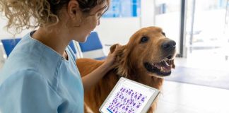 Prevención de las zoonosis: lo que debes saber para cuidar tu salud y la de los animales Más de la mitad de las enfermedades infecciosas en humanos son de origen zoonótico; por eso, se requiere de un manejo especializado y basado en conocimiento científico para su control. Santiago, Chile, julio 2025 – El vínculo entre humanos y animales resulta beneficioso para la vida, pero también conlleva ciertos riesgos que la ciencia ha debido manejar. Uno de ellos es la prevención de las zoonosis, que son aquellas enfermedades infecciosas que se transmiten entre animales y humanos, ya sea por contacto directo con animales infectados, a través de alimentos contaminados, o por vectores como mosquitos y garrapatas. Se calcula que, de los 1.415 patógenos humanos conocidos, el 61% son zoonóticos, según cifras de la Organización Panamericana de Salud, OPS (1). La prevención de las zoonosis ha sido un trabajo colaborativo de largo aliento. Uno de los logros más importantes es haber reducido drásticamente la incidencia de la rabia humana transmitida por perros. En efecto, si en 1983 se contabilizaban 300 casos en el continente americano, en 2020 se registraron solo 2, de acuerdo con la OPS (2). No obstante, hay otras zoonosis que preocupan, como por ejemplo la gripe aviar, y que requieren un manejo especializado y basado en conocimiento científico. Actualmente la prevención de la zoonosis es abordada a través de 3 focos principales: la aplicación del criterio de una sola salud, innovación en salud animal, y educación y apoyo a tutores y productores. “Desde Zoetis abordamos la prevención de las zoonosis bajo el prisma #OneHealth, es decir, una sola salud, entendiendo que la salud humana y la salud animal están estrechamente ligadas”, dice Mariana Cestau, gerente general de Zoetis. “Con esta mirada, brindamos soluciones diseñadas para ser efectivas y seguras, garantizando que los animales permanezcan sanos y, por ende, reduciendo el riesgo de transmisión a los humanos”, agrega. En tanto, la investigación y desarrollo de soluciones innovadoras, basadas en conocimiento científico actualizado, ha sido clave para enfrentar diferentes zoonosis. “Como líderes en salud animal, estamos constantemente explorando nuevas tecnologías y metodologías para mejorar la prevención, diagnóstico y tratamiento de enfermedades zoonóticas”, indica Mariana Cestau. Actualmente, Zoetis está utilizando herramientas de inteligencia artificial para manejar grandes cantidades de datos, incrementar la calidad de los datos, reducir esfuerzos de validación manual y mejorar la revisión de información por parte de personal clínico y científico. Así también, la educación y la concienciación son fundamentales para identificar los riesgos de zoonosis y tomar medidas preventivas. “Es importante contar con redes de apoyo que permitan el intercambio de conocimiento actualizado y el acceso a soluciones innovadoras. Por eso, colaboramos con veterinarios, productores y tutores de mascotas, mediante diferentes instancias, de manera de unirnos hacia un fin común, que es cuidarnos”, dice Mariana Cestau. El 6 de julio es el Día Mundial de las Zoonosis, en recuerdo de la exitosa aplicación de la primera vacuna antirrábica, creada en 1885 por el científico Louis Pasteur, y que logró salvar la vida de un niño de 9 años que había sido mordido por un perro infectado. Es una fecha que invita a tomar conciencia sobre las zoonosis y utilizar las herramientas disponibles para la prevención, con el apoyo de especialistas y líderes en la materia. Acerca de Zoetis Como empresa líder mundial en salud animal, Zoetis está impulsada por un propósito singular: nutrir nuestro mundo y a la humanidad avanzando en el cuidado de los animales. Tras más de 70 años innovando formas de predecir, prevenir, detectar y tratar enfermedades animales, Zoetis sigue estando al lado de quienes crían y cuidan animales en todo el mundo, desde veterinarios y propietarios de mascotas hasta ganaderos. La cartera líder y la cartera de medicamentos, vacunas, diagnósticos y tecnologías de la empresa marcan la diferencia en más de 100 países. Zoetis, una empresa incluida en la lista Fortune 500, generó unos ingresos de 9.300 millones de dólares en 2024 con aproximadamente 13.800 empleados. Para más información, visita www.zoetis.com.