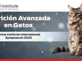Purina Institute International Symposium 2025- Advance Nutrition in Cats