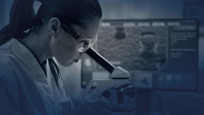 Se abren las postulaciones para el premio “For Women in Science 2025” en Chile