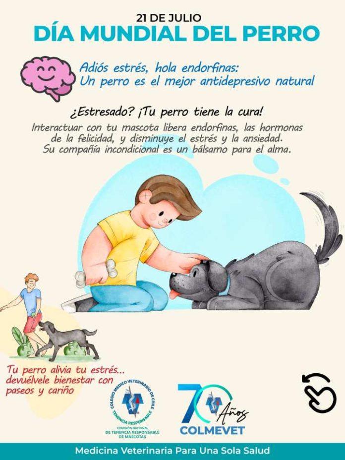 Tener un perro tiene beneficios para el corazón, la mente y el alma de las personas Tener un perro tiene beneficios para el corazón, la mente y el alma de las personas