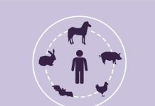Zoonosis bajo la lupa: las enfermedades que conectan la salud humana y animal Zoonosis bajo la lupa: las enfermedades que conectan la salud humana y animal
