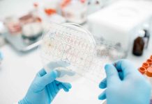 Falsas alergias a antibióticos: riesgo para la salud pública y aumento de la resistencia antimicrobiana Falsas alergias a antibióticos: riesgo para la salud pública y aumento de la resistencia antimicrobiana