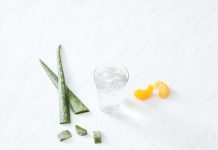Aloe vera: conoce sus beneficios y cómo hacer una elección segura Aloe vera: conoce sus beneficios y cómo hacer una elección segura