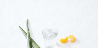 Aloe vera: conoce sus beneficios y cómo hacer una elección segura